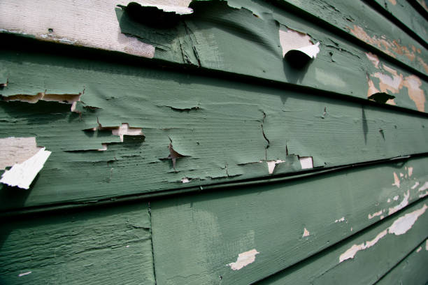 Best Construction Debris Removal  in New Rochelle, NY